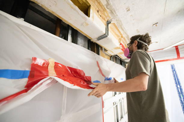 Best Mold Damage Restoration  in La Crescent, MN