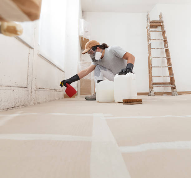 Best Attic Mold Removal  in La Crescent, MN
